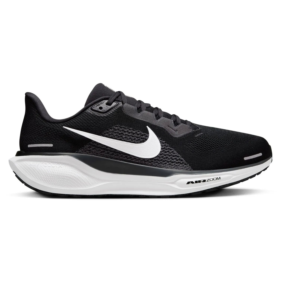 Men's Pegasus 41