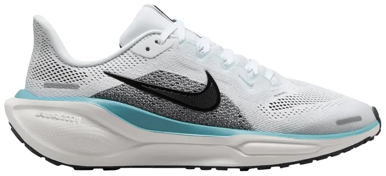 Men's Pegasus 41
