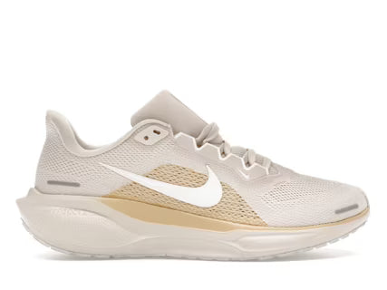 Men's Pegasus 41