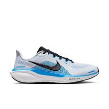 Men's Pegasus 41