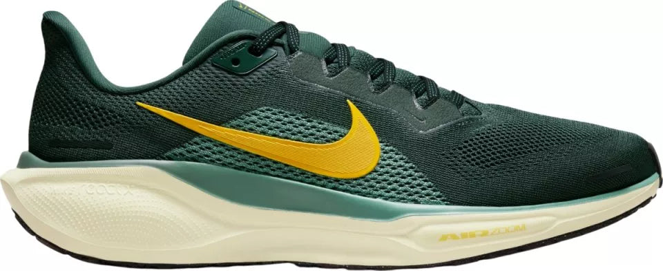 Men's Pegasus 41