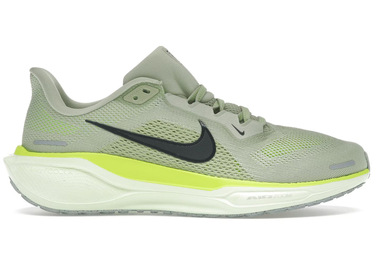 Men's Pegasus 41