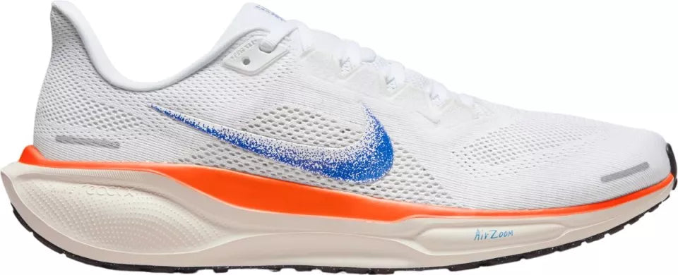 Men's Pegasus 41
